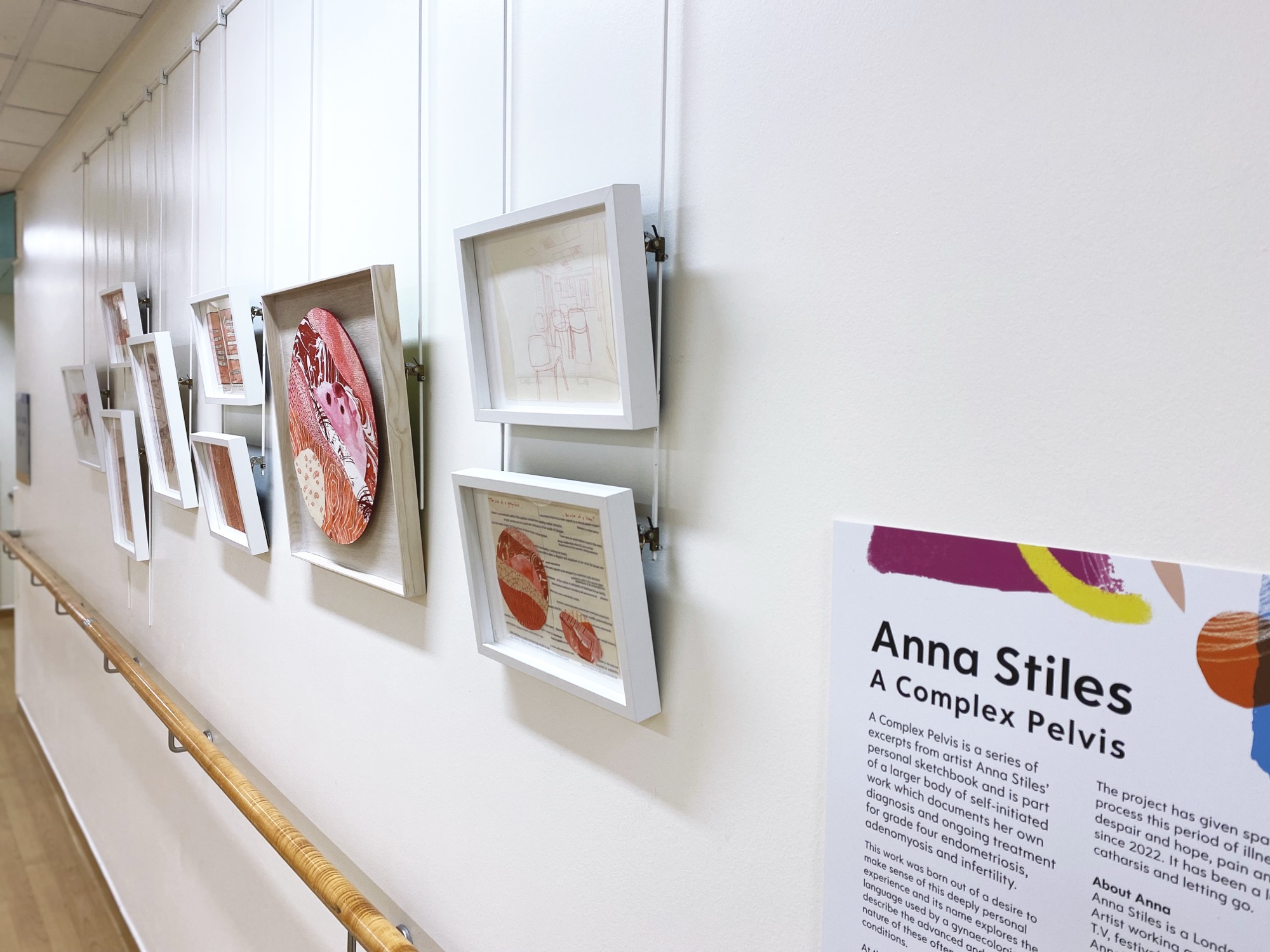 Summer Show, University Hospitals Coventry and Warwickshire NHS Trust