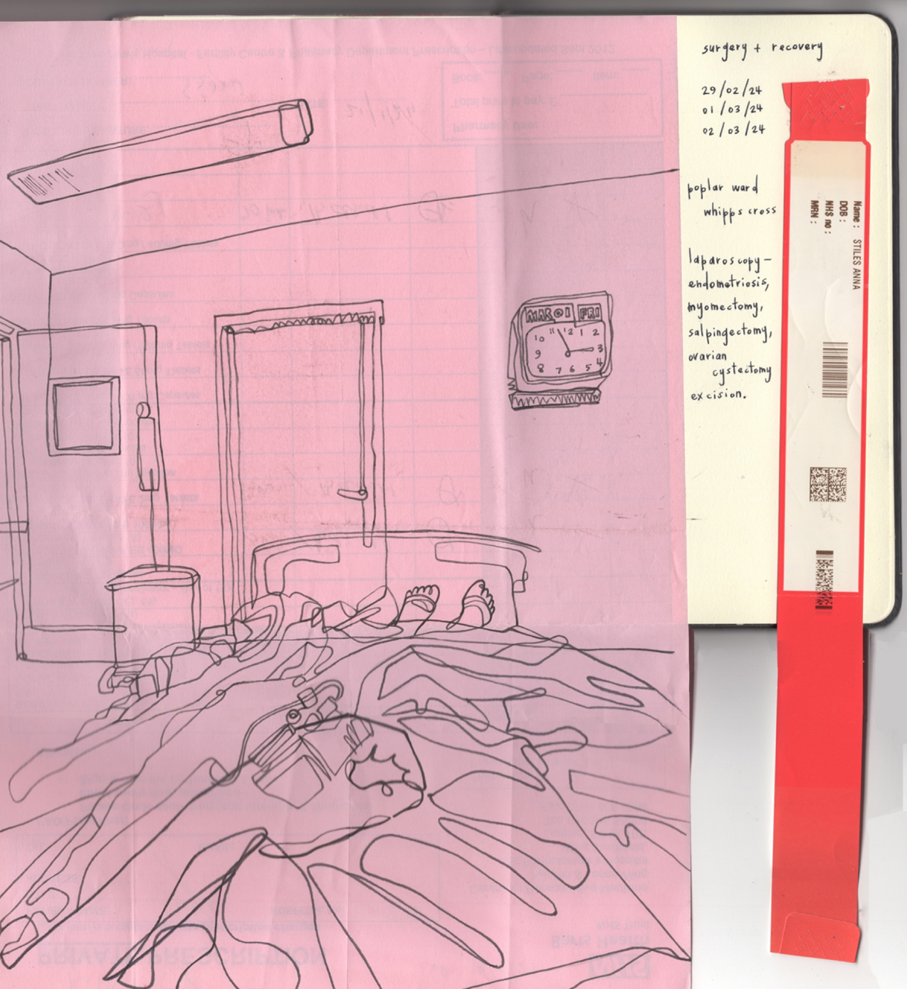 Anna Stiles — illustration work